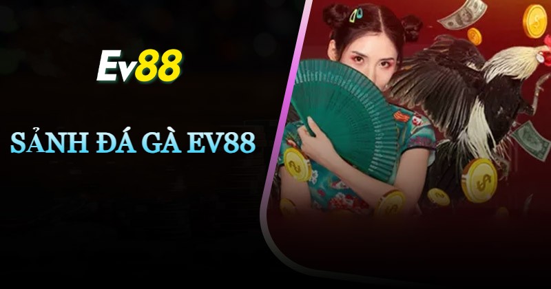 fb68 bet - Trải Nghiệm Cá Cược Đỉnh Cao Mọi Lúc